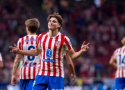 开云体育APP下载-荷兰鏖战英格兰，阿尔瓦雷斯关键制胜的简单介绍