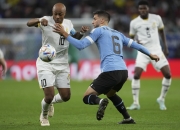 开云APP-卡塔尔队成功脱颖而出，实力尽显获得认可的简单介绍