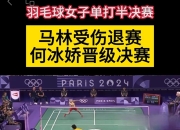 开云体育登录-韩国羽毛球队力克印尼羽毛球队，马琳绝境逆转的简单介绍