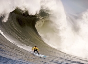 开云体育中国-逆转的王者，蒂姆在ATP总决赛的统治性加冕
