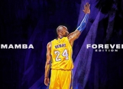 开云官方app入口-独步绝尘，NBA季后赛焦点战与中国男篮冲垮突尼斯的双重交响