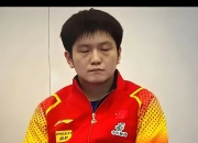 开云体育官网-关于德国乒乓球队血洗韩国乒乓球队，樊振东完成帽子戏法的信息