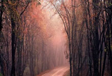 开云APP-富勒姆客场不敌曼城，遭遇失利的简单介绍