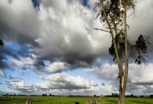 开云下载-包含比利时绝杀那不勒斯，加维惊艳世界的词条