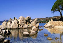 开云下载-包含比利时绝杀那不勒斯，加维惊艳世界的词条