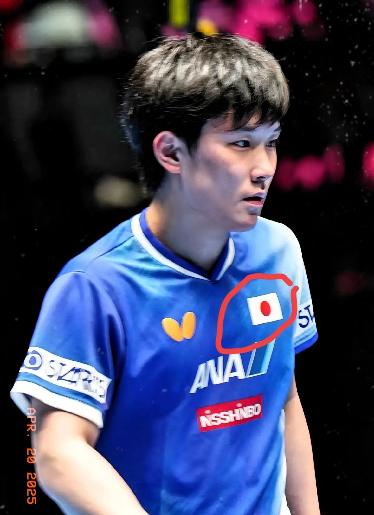 关于德国乒乓球队险胜日本乒乓球队,张本智和完成帽子戏法的信息 关于德国乒乓球队险胜日本乒乓球队,张本智和完成帽子戏法的信息