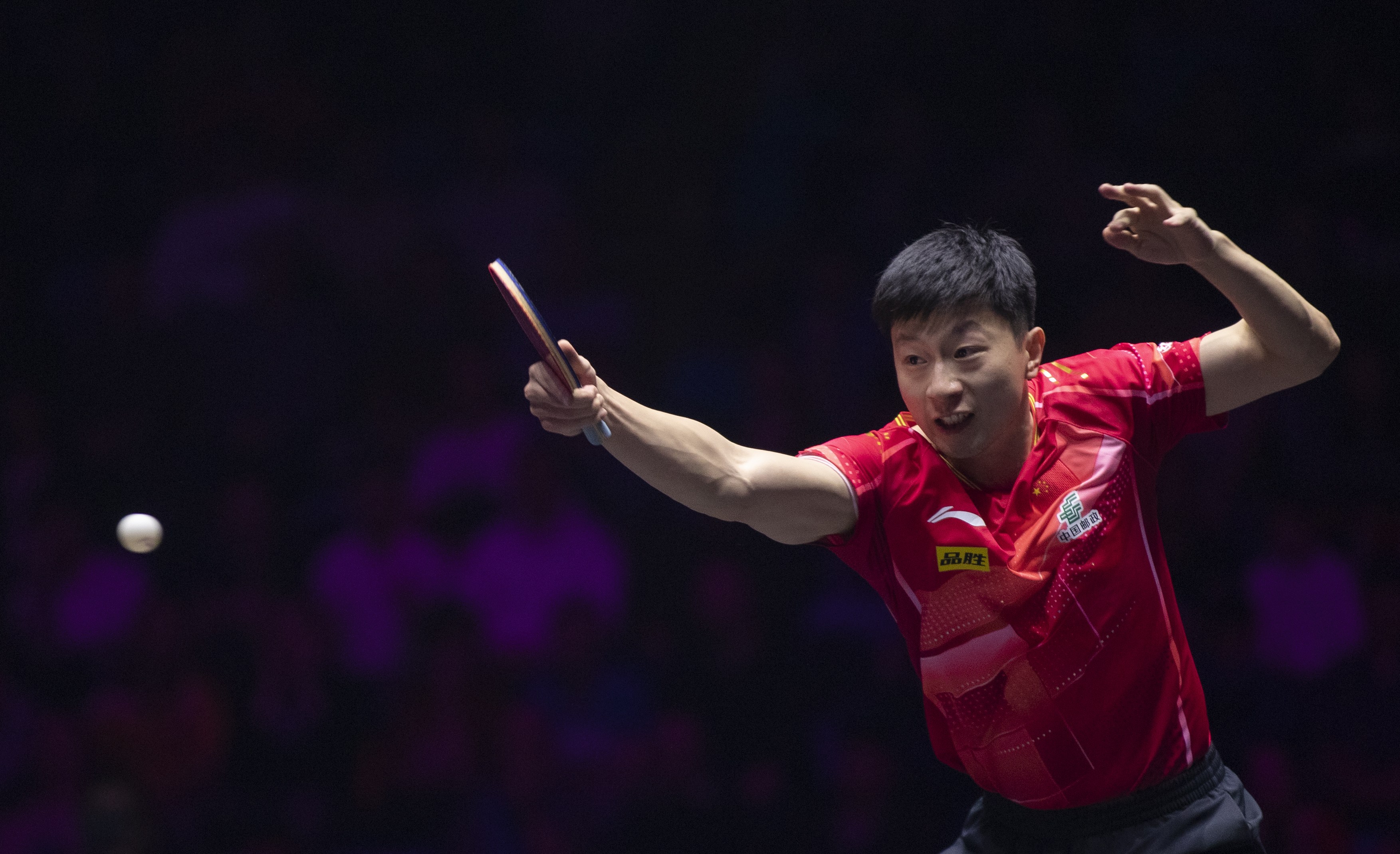 韩国乒乓球队强势比利时乒乓球队，马龙高光表现的简单介绍