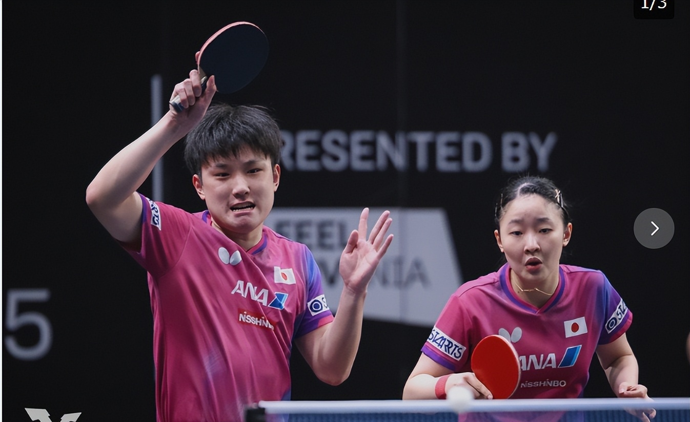 波兰乒乓球队完胜法国乒乓球队，张本智和高光表现的简单介绍