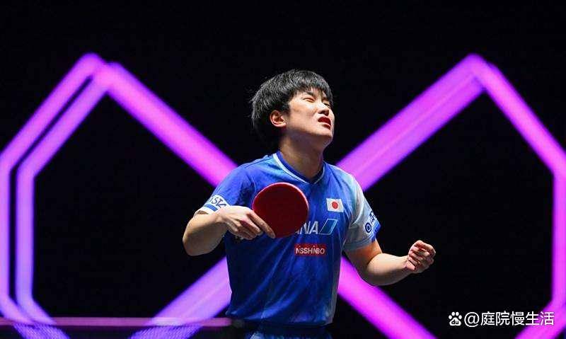 波兰乒乓球队完胜法国乒乓球队，张本智和高光表现的简单介绍