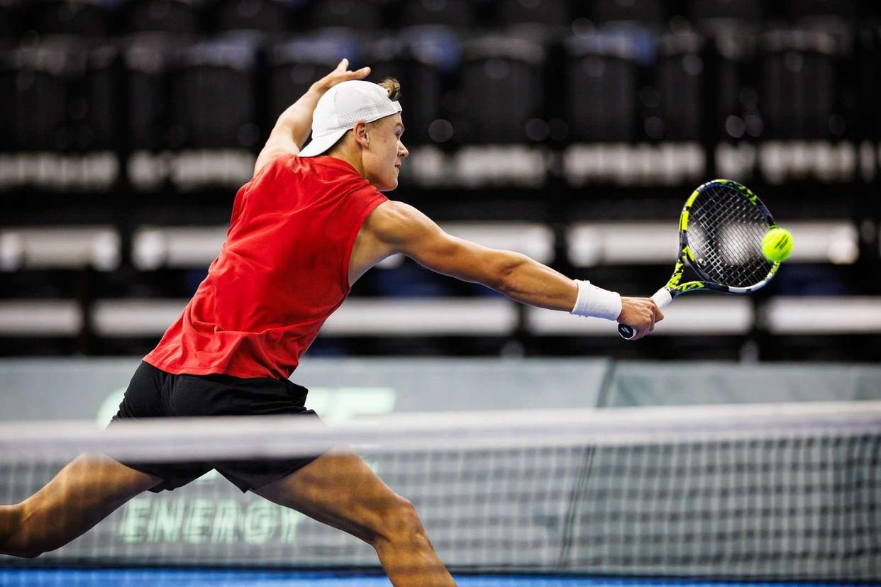 法网力克戴维斯杯,鲁德带队取胜的简单介绍 法网力克戴维斯杯,鲁德带队取胜的简单介绍