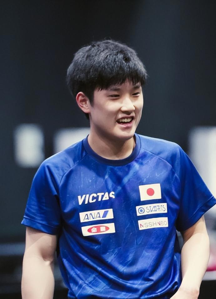 包含瑞典队横扫波兰队，张本智和统治全场的词条